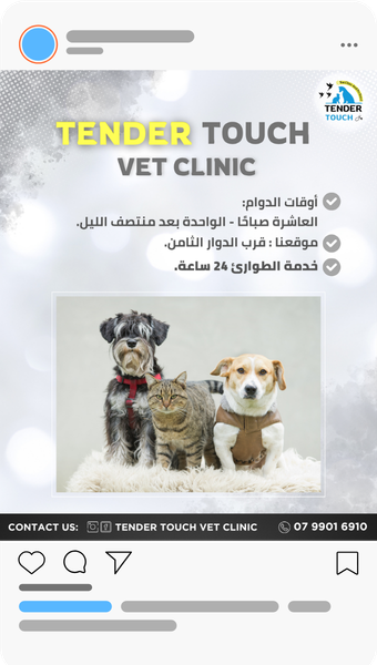 Post Vet Clinic Social Media post template idea design by rola khader