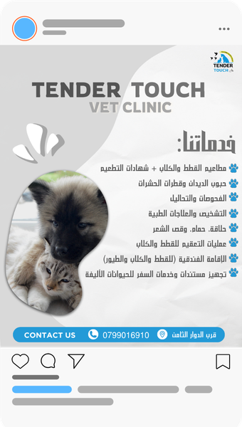 Post Vet Clinic Social Media post template idea design by rola khader