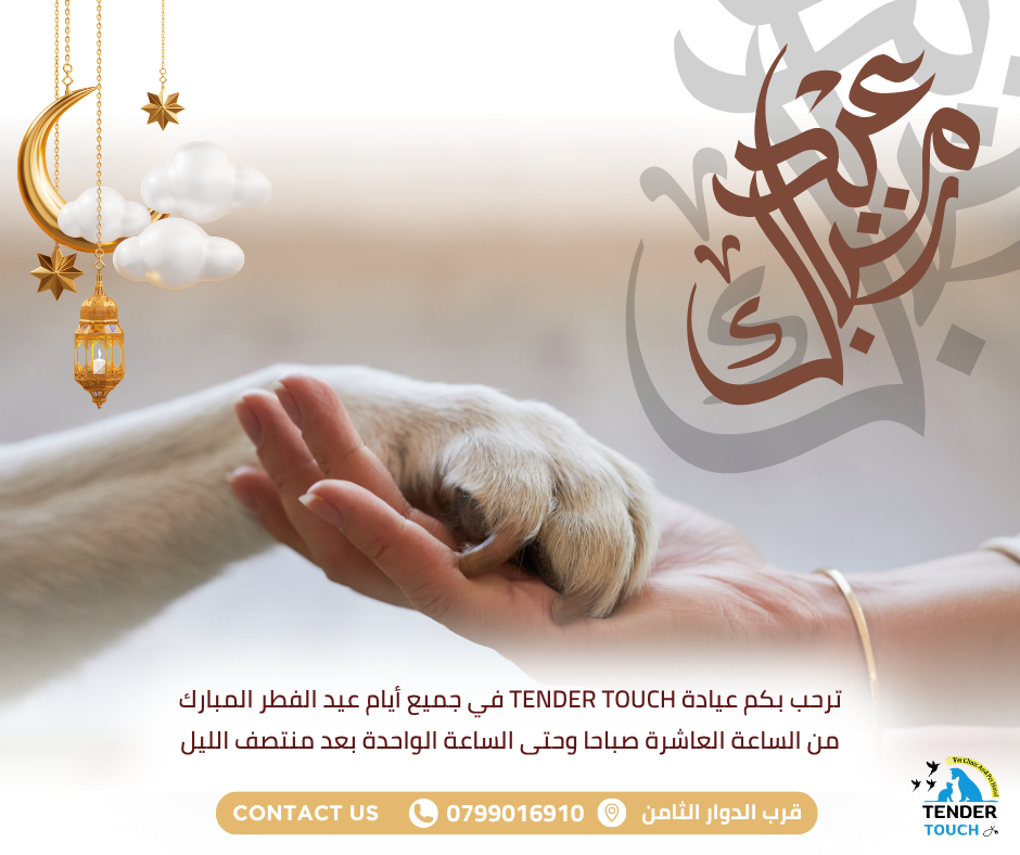 Post Vet Clinic Social Media post template idea design by rola khader